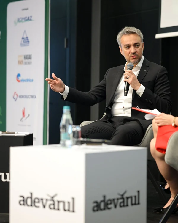 George Niculescu, ANRE