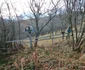 Satul Urșici din Hunedoara Foto Daniel Guță ADEVĂRUL (31) jpg