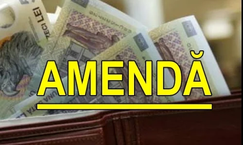 1 amenda 56004600 jpg jpeg