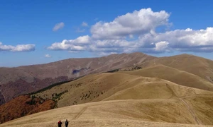 În căutarea drumului jpeg