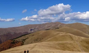 În căutarea drumului jpeg