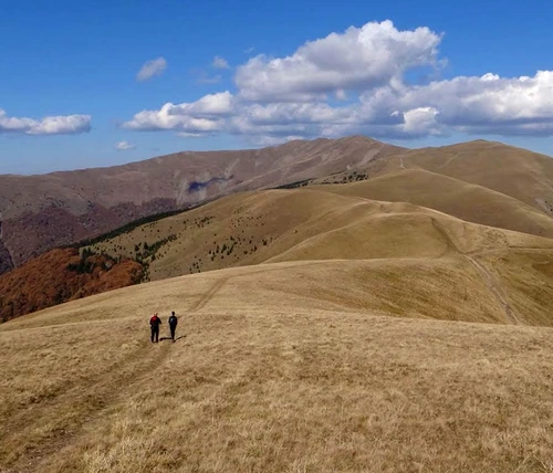 În căutarea drumului jpeg