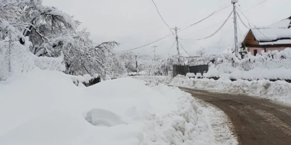 Roşia de Amaradia