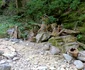 Traseul către Cascada Scoruș din Malaia Vâlcea Foto Daciana Stoica
