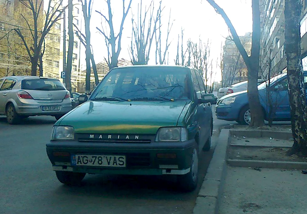 © Ș.M. Georgescu