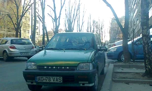 p 24 S M Georgescu jpg