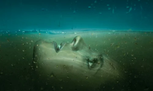 Absentia poster resize jpeg