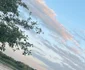 Imagine spectaculoasă din Delta Dunării Foto: Click!