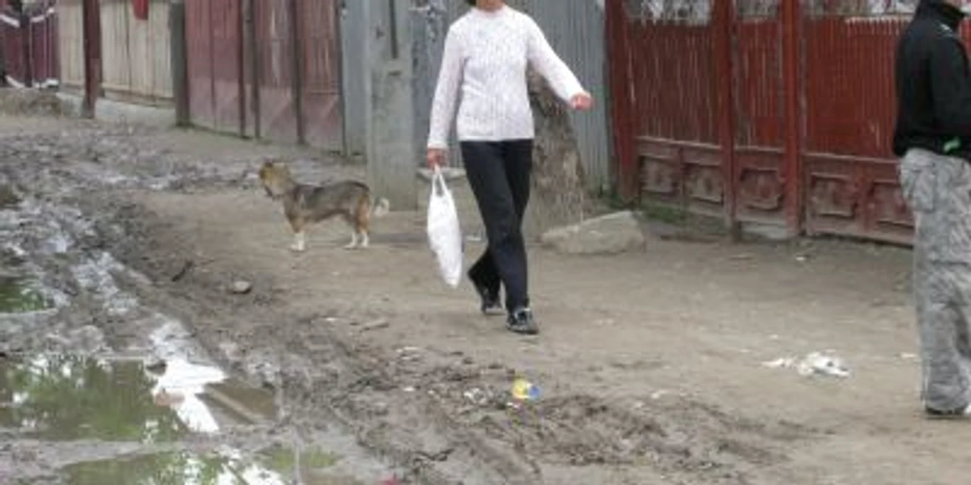 Strada Primăverii