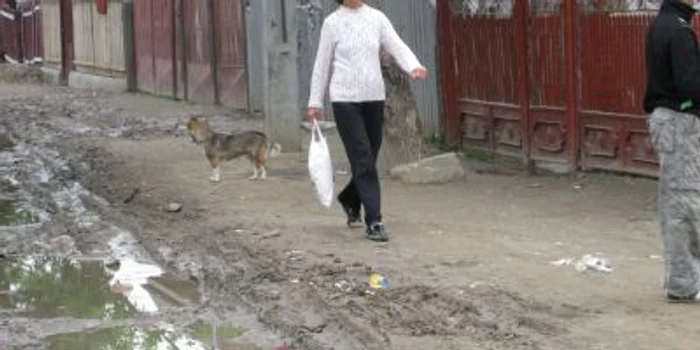 Strada Primăverii