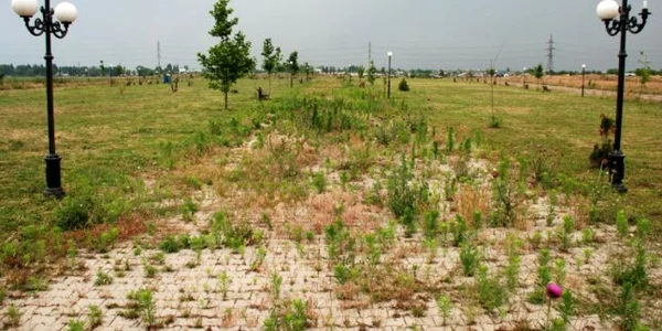 braila parc adevarul 