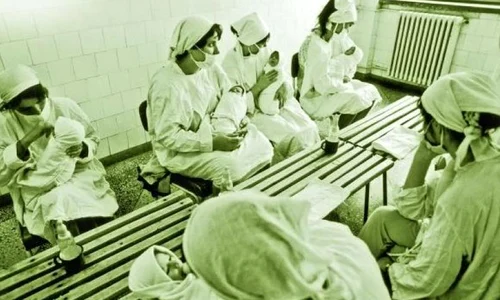 Decretul antiavort, prostituţia şi „Decreţeii“ jpeg