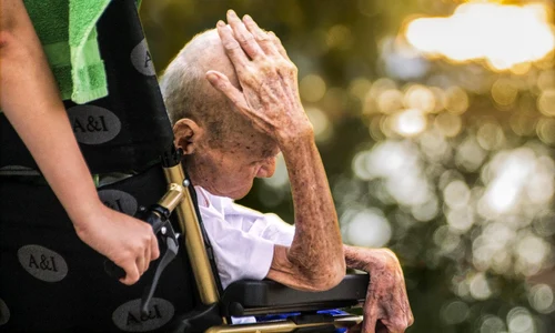 insotitor persoana handicap foto pixabay jpg