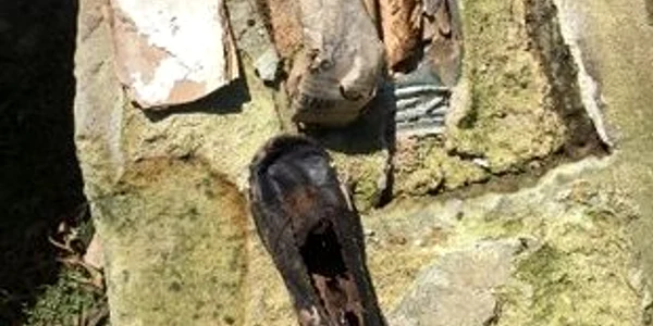 Surpiza neașteptată descoperită de un american, după ce a dărămat un hambar vechi Foto: Reddit