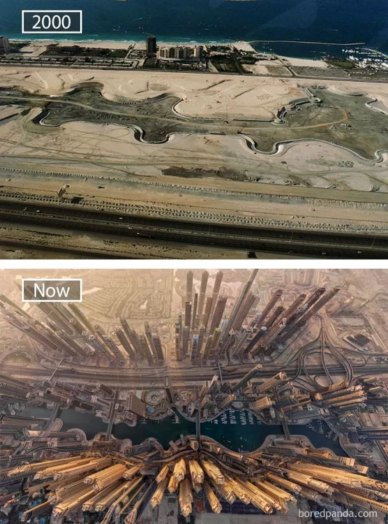 
    Tokyo s-a transformat radicalFoto: boredpanda.com  