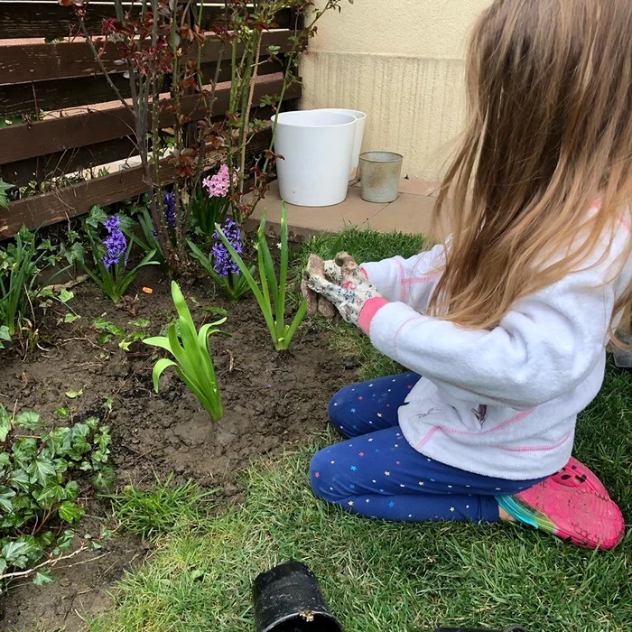 Joaca s-a mutat în curte