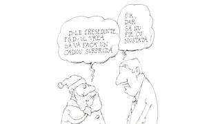 Roluri, de Crăciun jpeg