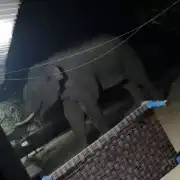 comp 16 1768032325 gif