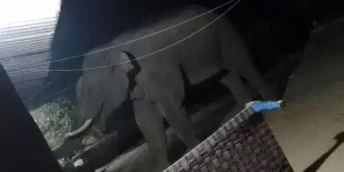 comp 16 1768032325 gif