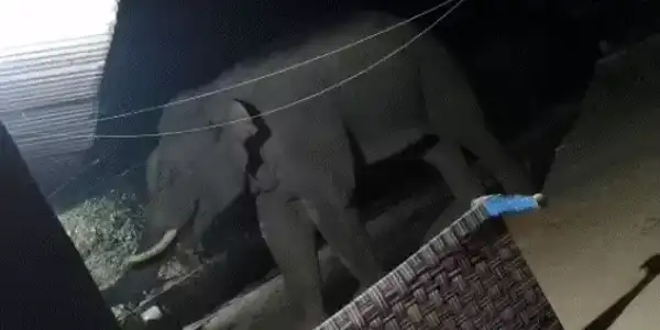 comp 16 1768032325 gif