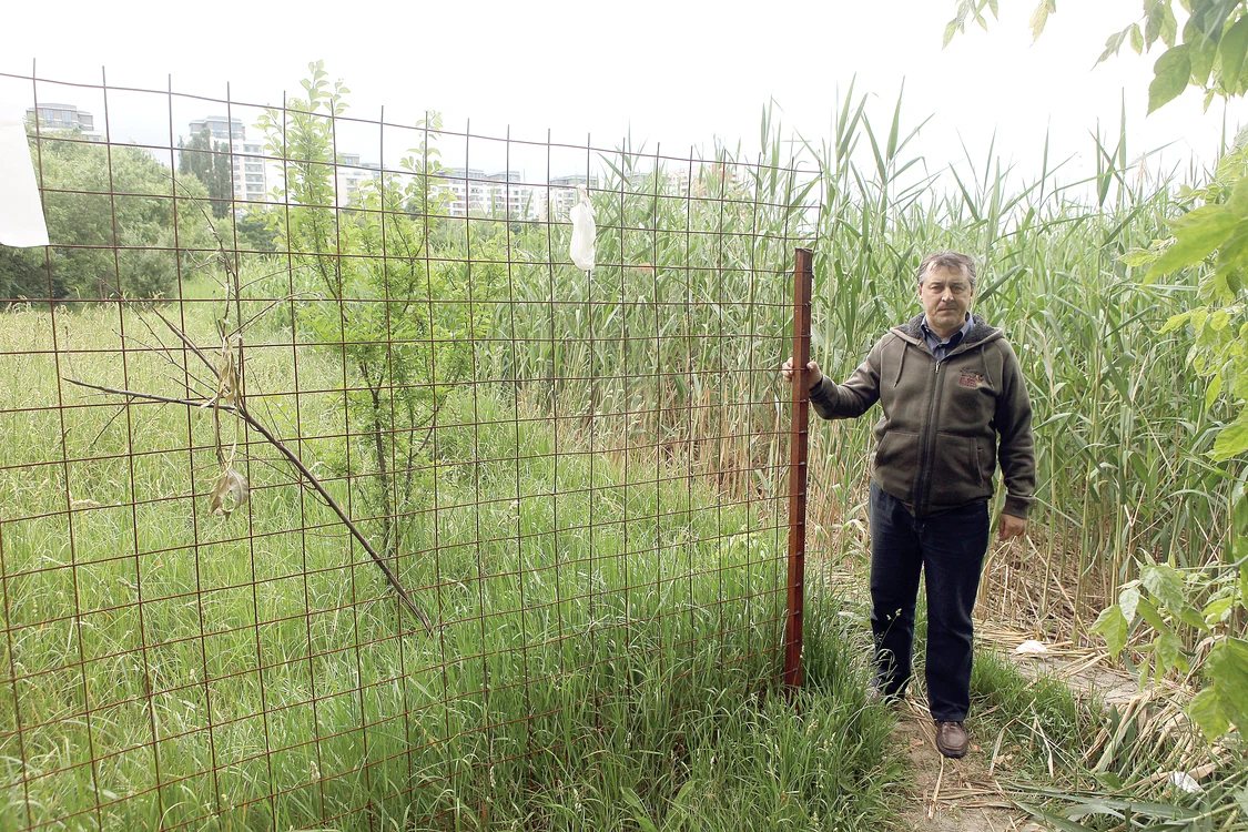 Mai 2015 – Deşi a fost montat un gard, se poate trece fără probleme pe lângă el
