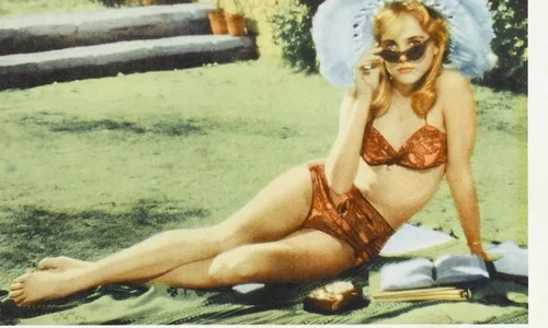 Cele mai bune cărți interzise din istoria literaturii jpeg