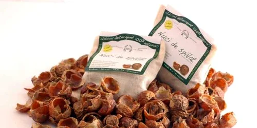Nuci sapun de spalat
