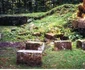 sarmizegetusa regia santiar