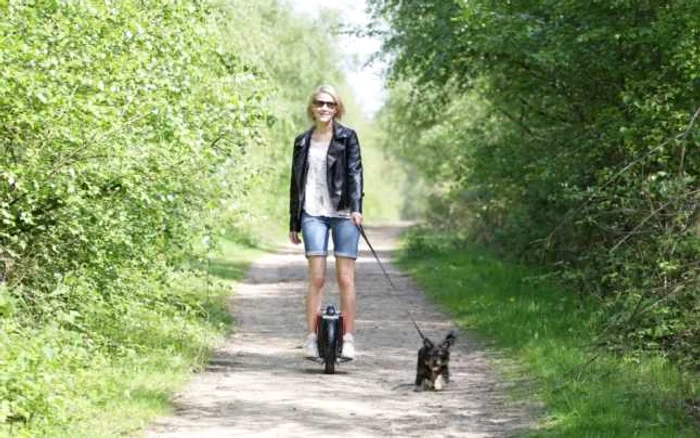 Fie că este vorba despre segway, trotinetă electrică sau skateboard electric, biciclu sau monociclu electrice, astăzi avem la dispoziţie şi în ţara noastră astfel de mijloace de transport care ne oferă ocazia să ne relaxăm în timp ce ne vedem de drumurile zilnice. FOTO Arhiva