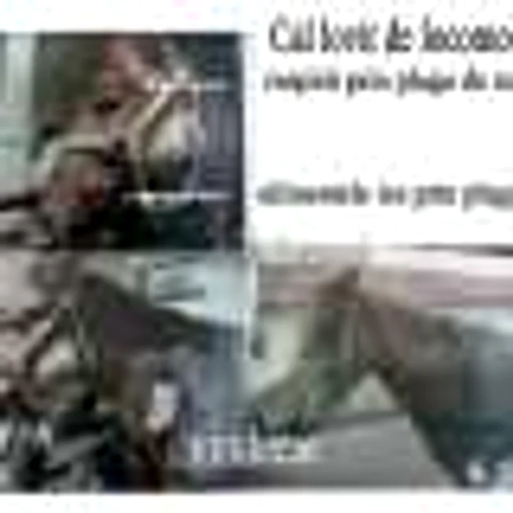 stefan dinu veterinar