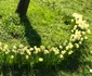 IMG 0109 jpeg