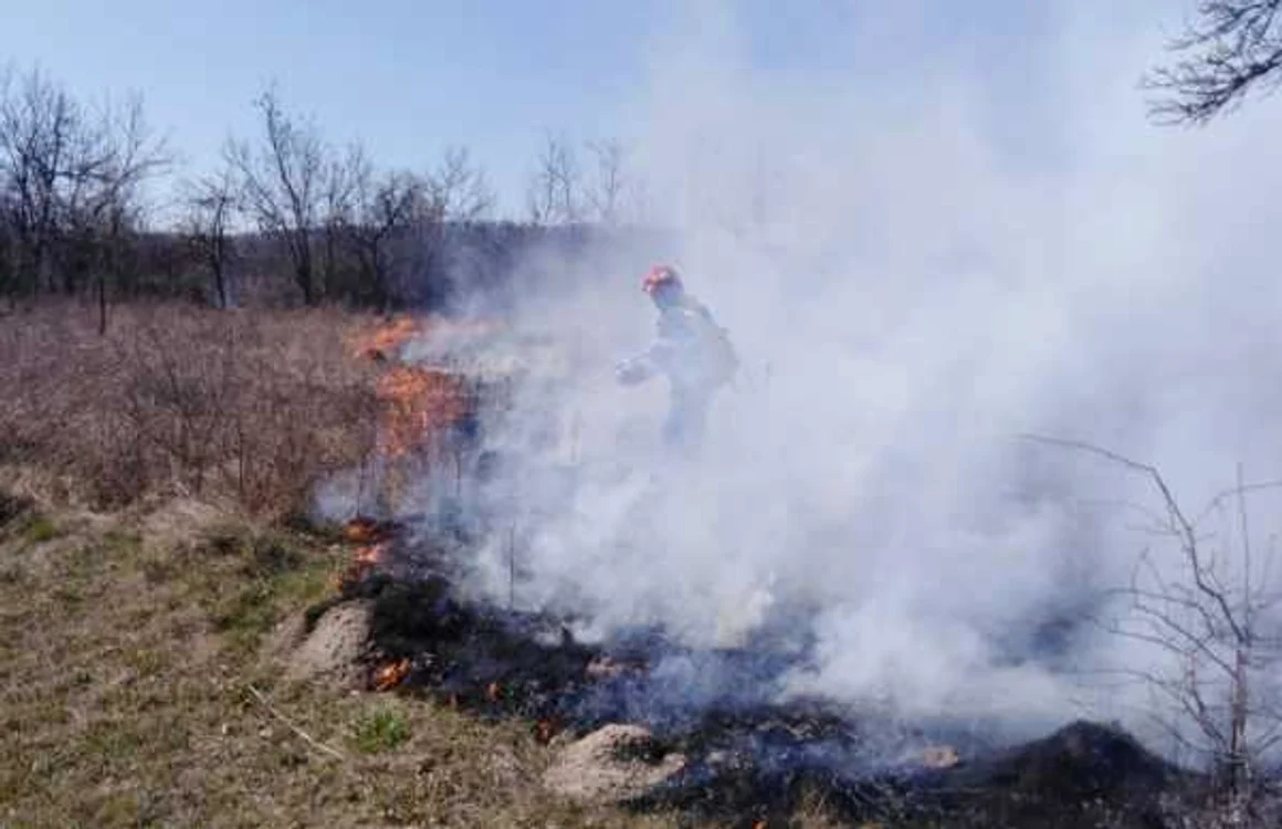 incendiu vegetatie uscata tgv
