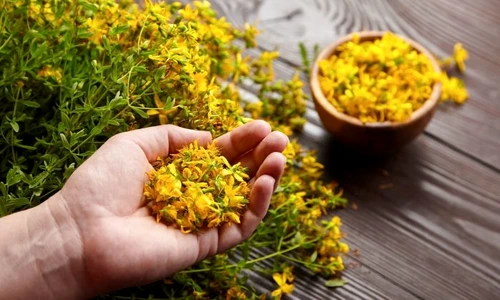 1 sunatoare jpg jpeg