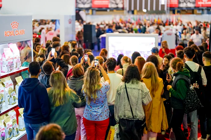 tiai ca pisicile pot alerga mai repede decat un atlet olimpic royal canin explica tiin a din spatele bunastarii lor1 png