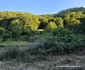 Valea Roatei din Hunedoara Foto Daniel Guță ADEVĂRUL (13) jpg