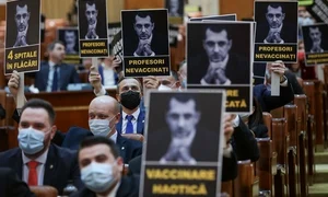 parlamentari psd jpeg