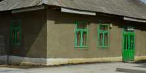   scoala paltinis vaslui 