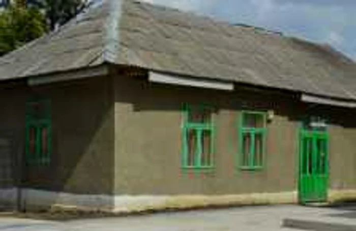 scoala paltinis vaslui