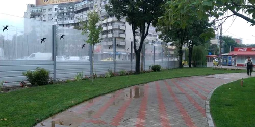Parc antifonic din Podu Roş 
