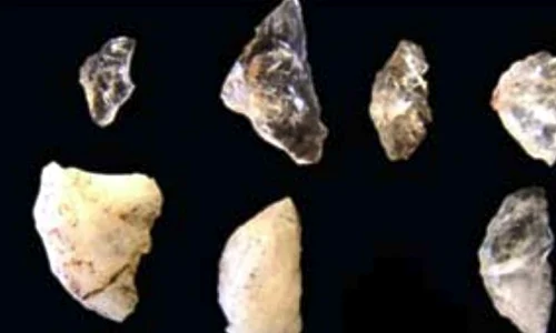 S au descoperit cele mai vechi săgeţi din lume jpeg