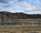 Câmpul lui Neag, Hunedoara Foto Daniel Guță ADEVĂRUL (74) jpg