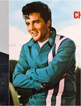 Elvis Presley, Tom Jones Shutterstock(1) jpg