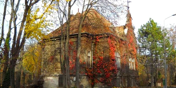 Casa cu iedera