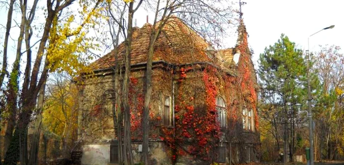 Casa cu iedera din Timişoara FOTO Ştefan Both