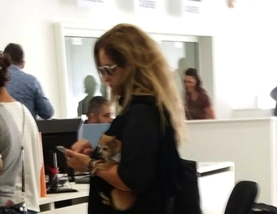 Anca Badiu, îmbrăcată ca la circ 