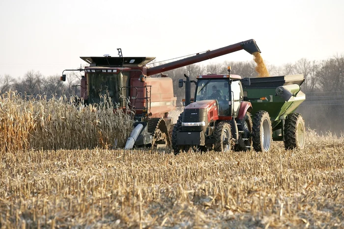 Fermierii sunt
nevoiţi să acopere costuri exagerate din cauza devalorizării leului. Foto: Adevarul