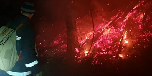 incendiu padure pietrosita