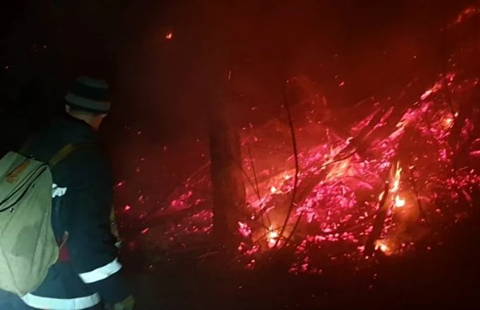 În cauza poliţiştii efectuează cercetări sub aspectul săvârşirii infracţiunii de distrugere.