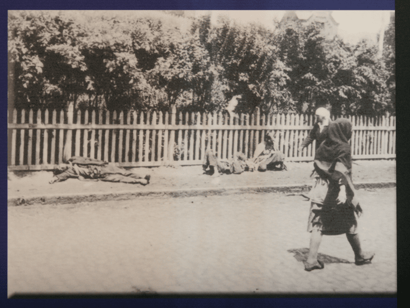 Holodomorul, foametea provocată de Stalin în Ucraina anilor '30, calificată ca genocid de Bulgaria