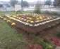 Invenţiile băcăuanului Vasile Puşcaşu din domeniul auto şi agricol